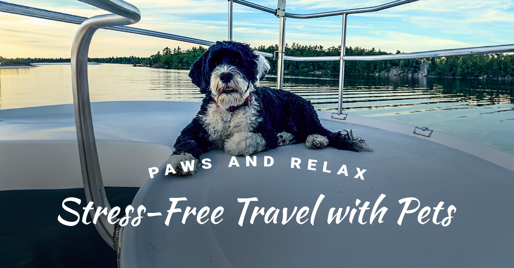 Stress Free Travel with Pets at Mangrove Marina